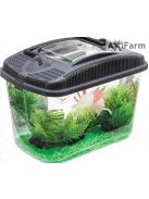 AquaEl szállító Box- szállító doboz axolotlnak - 3liter (23,7x15,4x17,3cm)