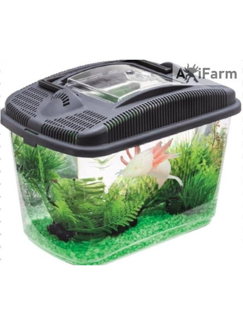 AquaEl szállító Box- szállító doboz axolotlnak - 3liter (23,7x15,4x17,3cm)